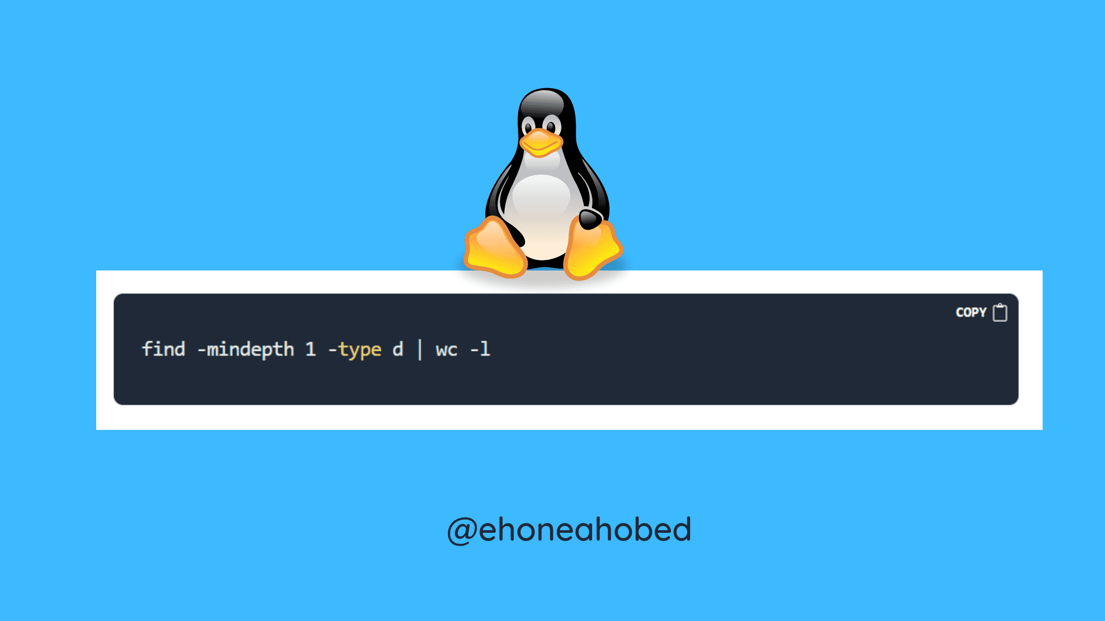 Write a bash script to count the number of directories