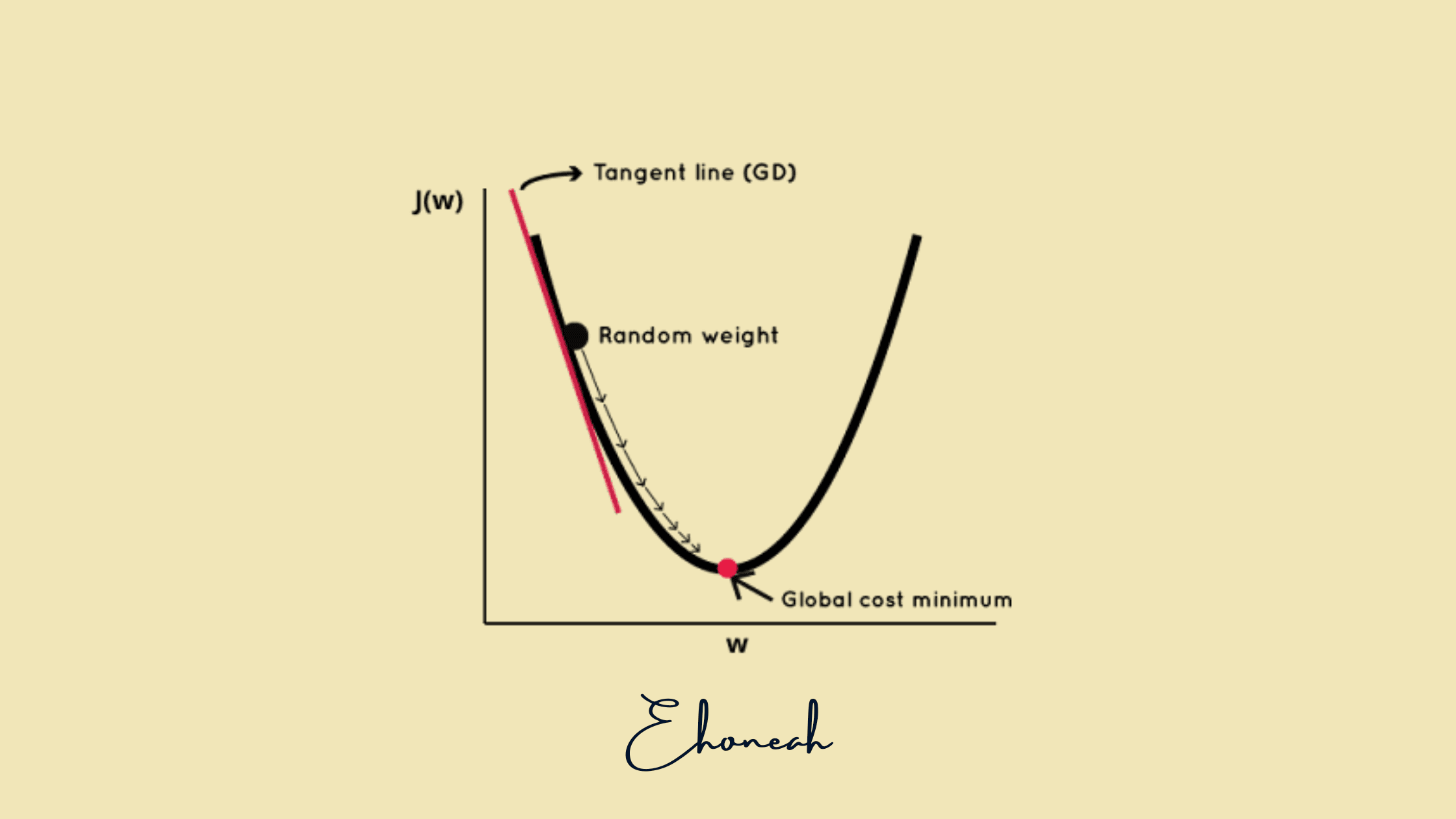 Understanding Gradient Descent: From a Beginner's Perspective